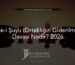 İzale-i Şuyu (Ortaklığın Giderilmesi) Davası Nedir? 2026