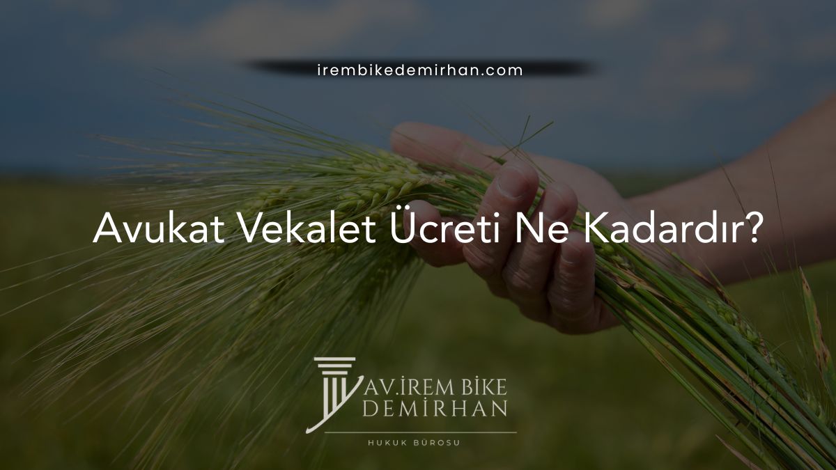 Avukat Vekalet Ücreti Ne Kadardır?