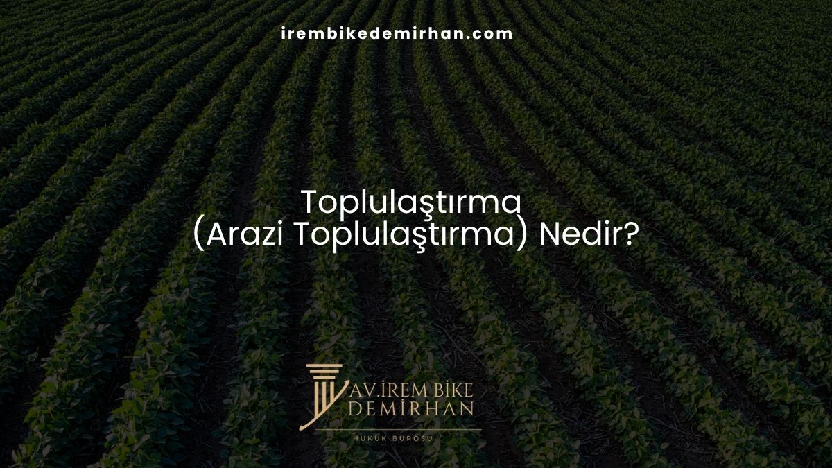 Toplulaştırma (Arazi Toplulaştırma) Nedir?