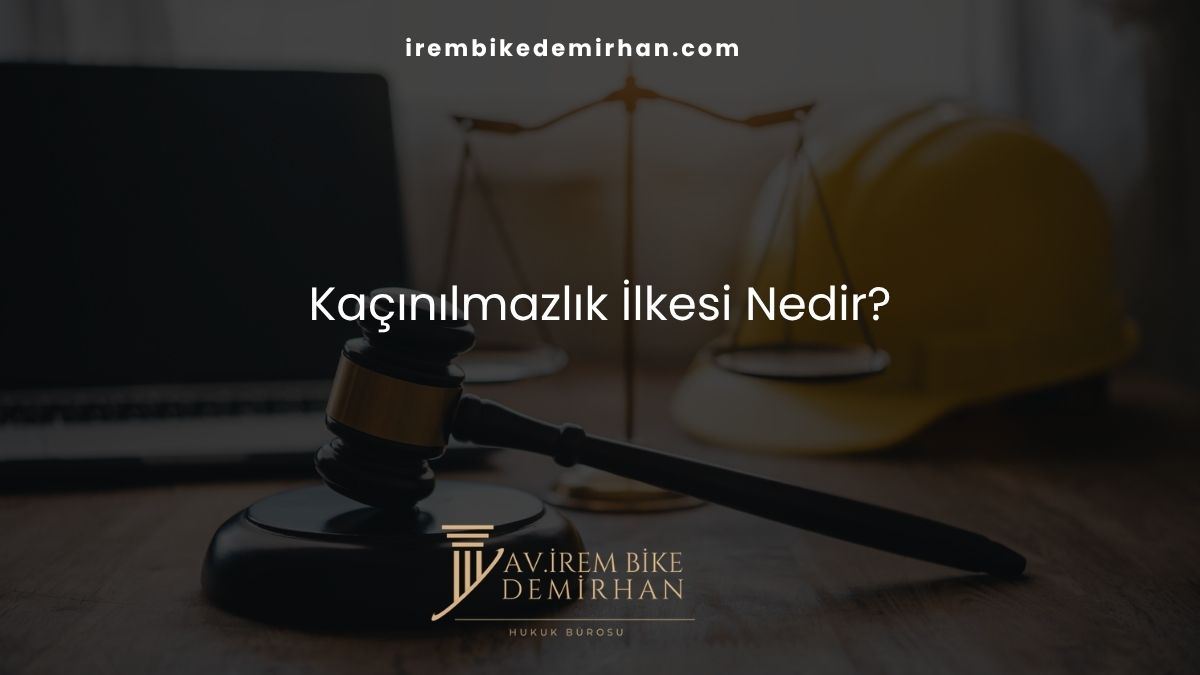Kaçınılmazlık İlkesi Nedir?