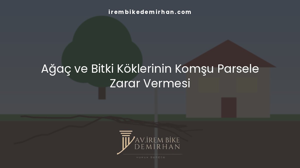 Ağaç ve Bitki Köklerinin Komşu Parsele Zarar Vermesi