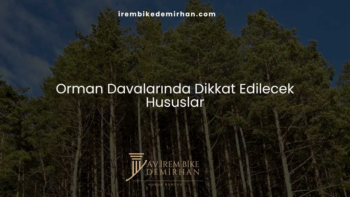 Orman Davalarında Dikkat Edilecek Hususlar