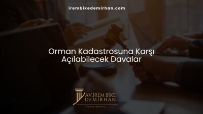 Orman Kadastrosuna Karşı Açılabilecek Davalar