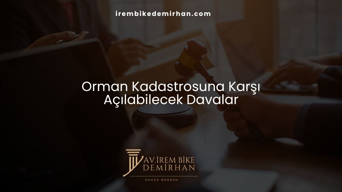 Orman Kadastrosuna Karşı Açılabilecek Davalar